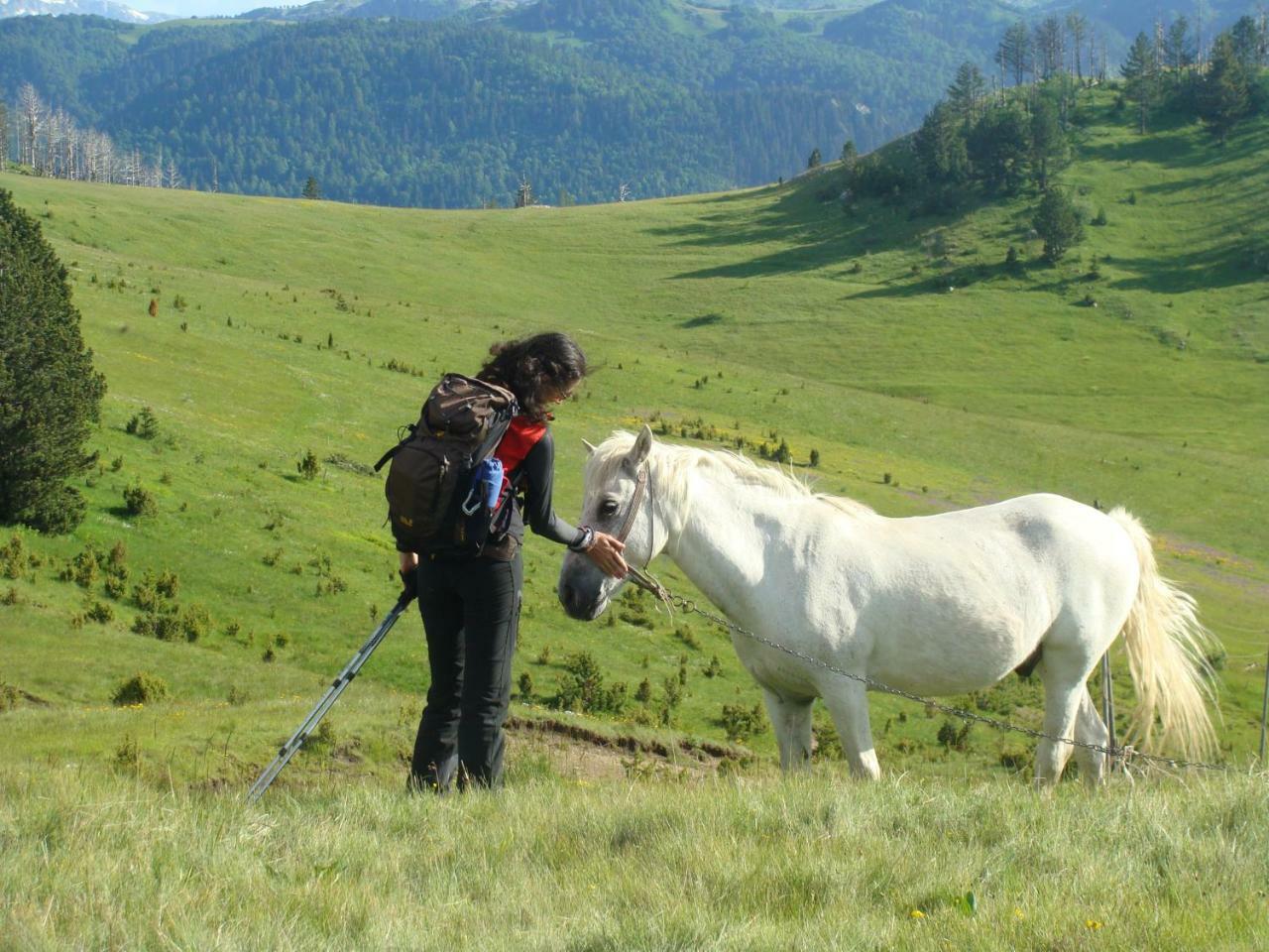 Taramour Cottages. مويكوفاتش المظهر الخارجي الصورة
